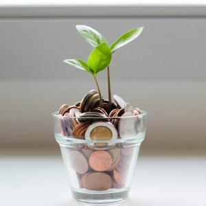 Refer a customer → earn 30% forever